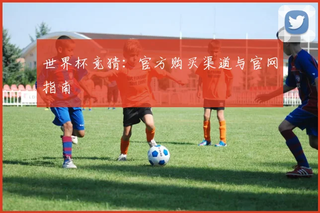 世界杯竞猜:官方购买渠道与官网指南